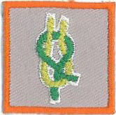 qualified leader (beavers/cubs/scouts)